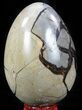 Septarian Dragon Egg Geode - Black Crystals #57340-2